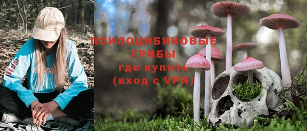 круглые Армянск